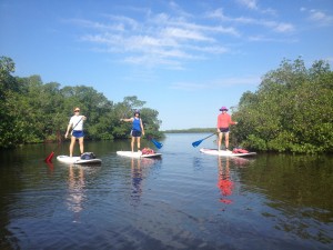 Stand Up Paddleboarding Fort myers beach www.goodtimecharters.com