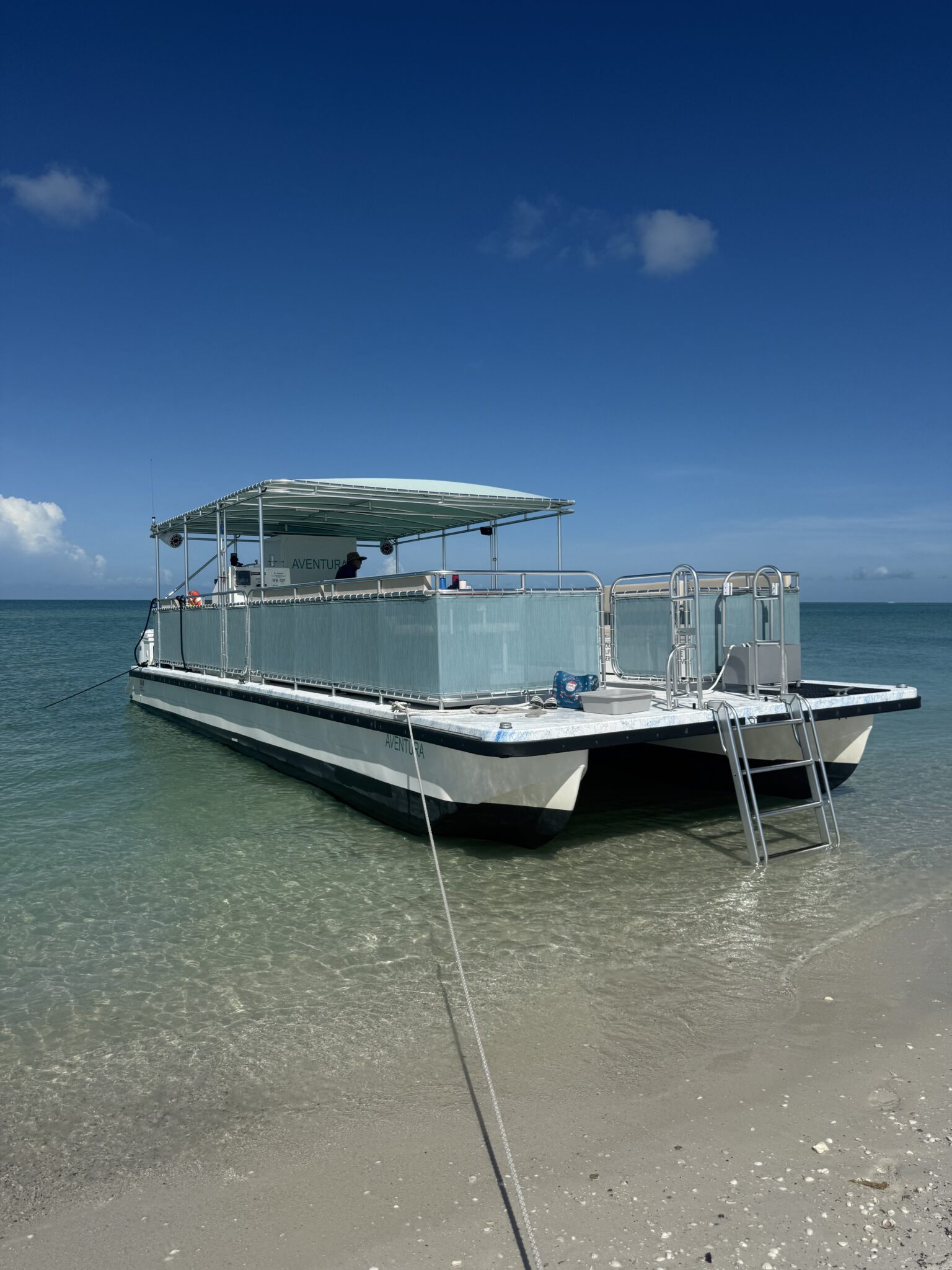 best dolphin tour boat Fort Myers Beach