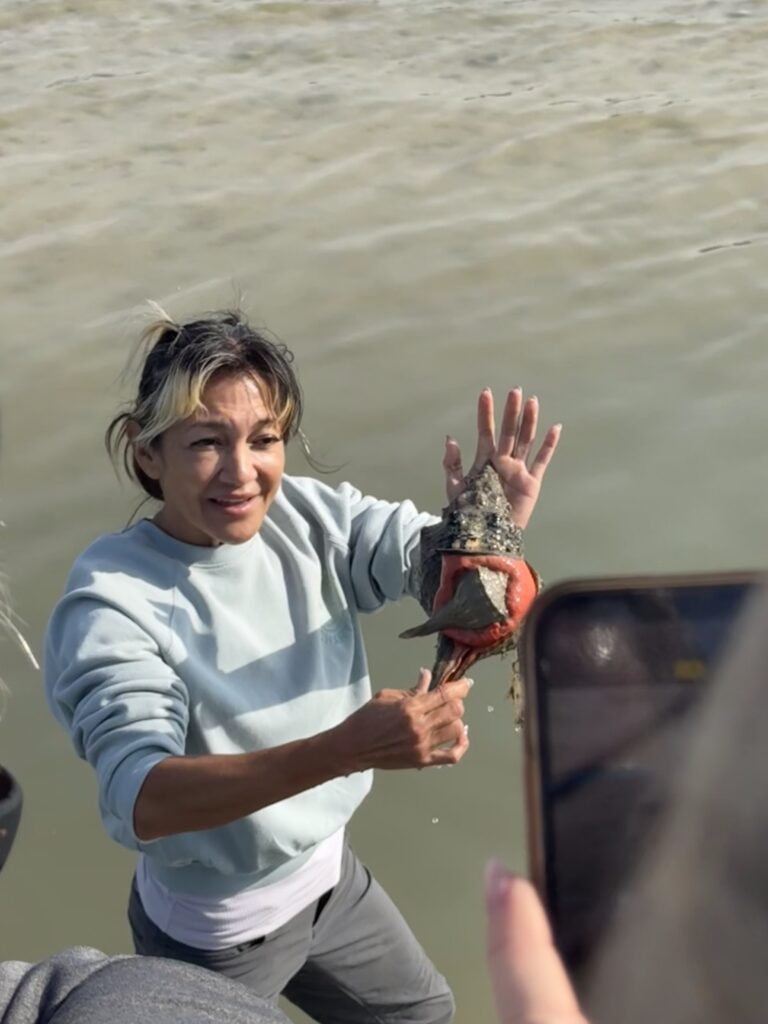 Biologist guided tours Fort Myers beach