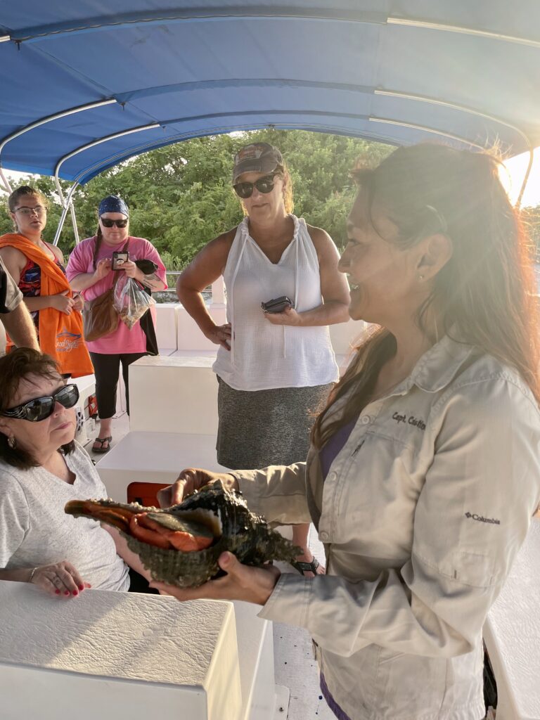 tour guides dolphin tours Fort Myers Beach