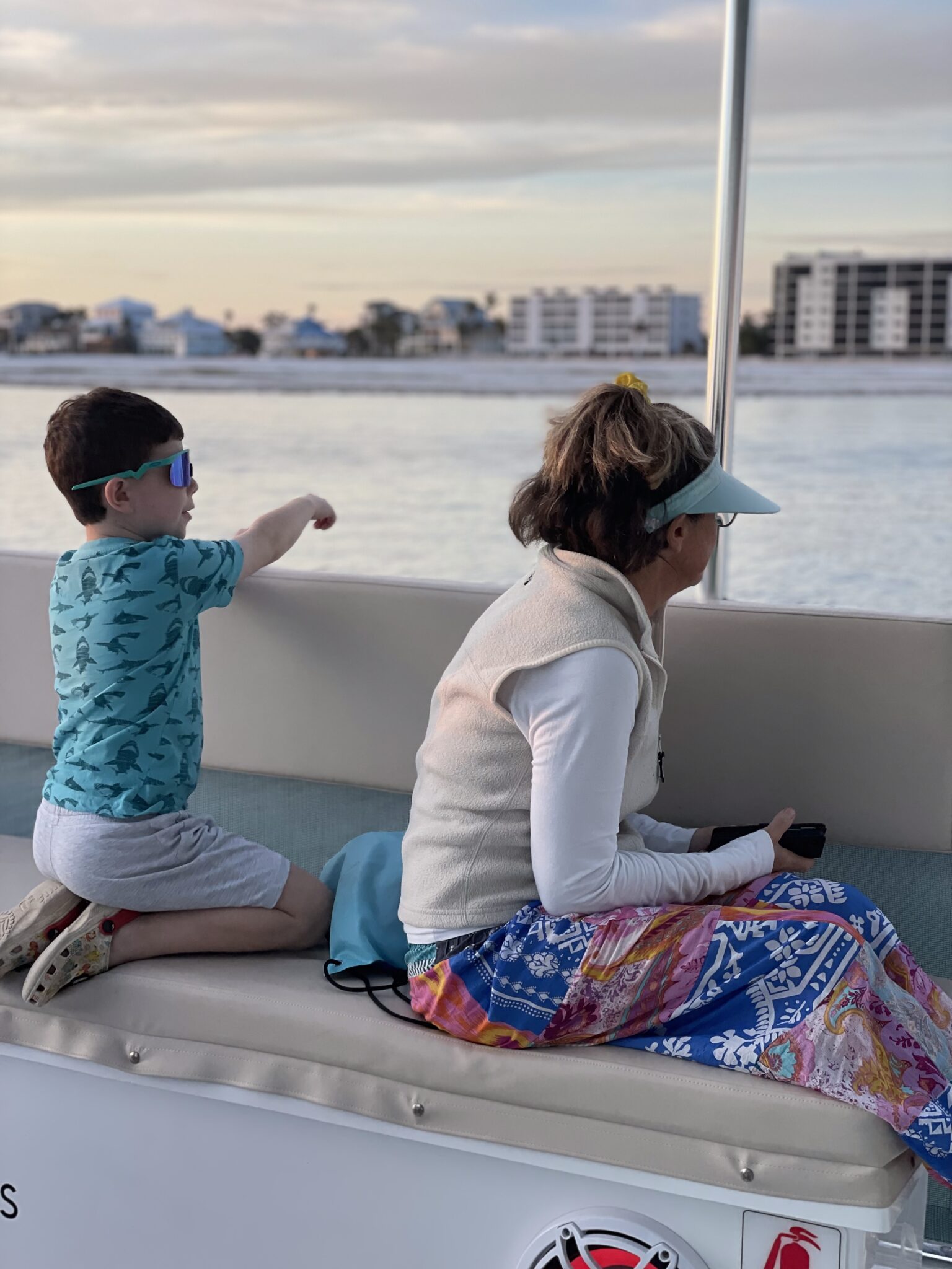 Where to see dolphins in Fort Myers