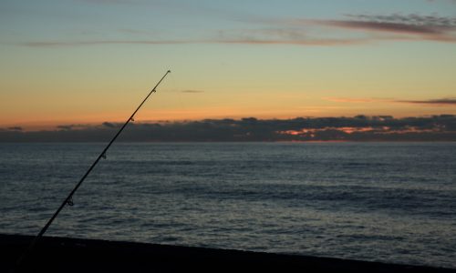 Fishing fort myers beach