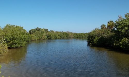 GTC- Estero Bay Islands