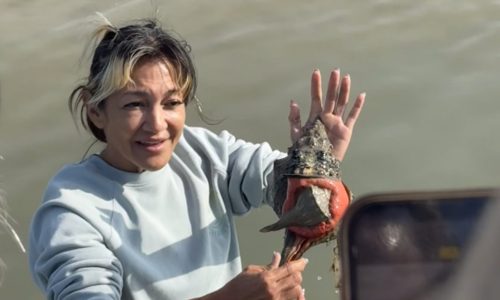 Biologist guided tours Fort Myers beach