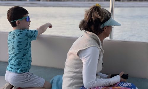 Where to see dolphins in Fort Myers