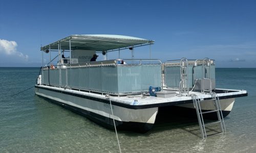 dolphin tour boat best dolphin tour boat Fort Myers Beach