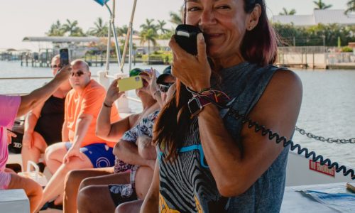 Why Wildlife and Nature Cruises stand out