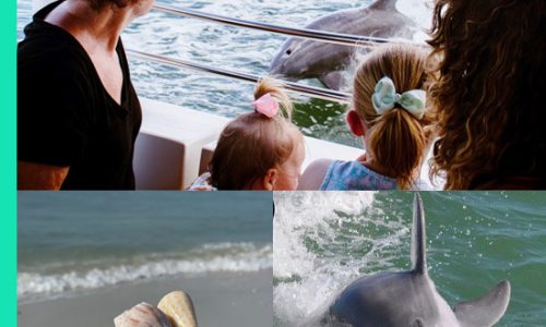 img-private-charters-featured