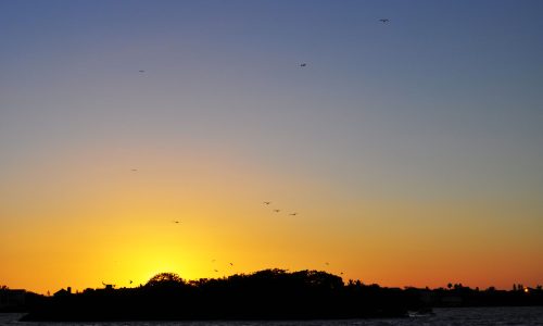 sunset cruise fort myers beach www.goodtimecharters.com